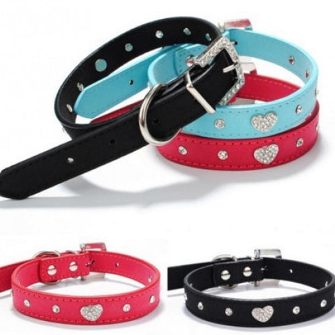 Pets Collar & Leads